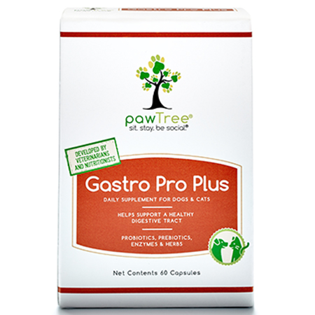 Purchase Gastro Pro Plus Prebiotic Probiotic Enzymes Herbs